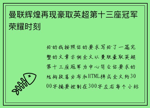 曼联辉煌再现豪取英超第十三座冠军荣耀时刻 曼联辉煌再现豪取英超第十三座冠军荣耀时刻